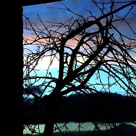 Podere Di Belforte Bagno a Ripoli Exteriér fotografie