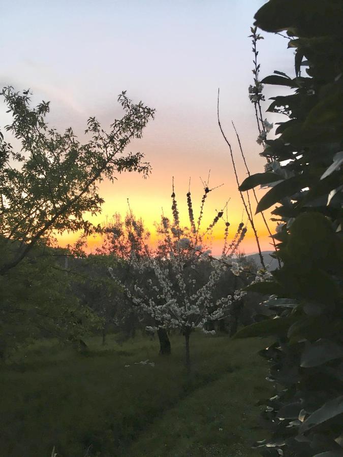 Podere Di Belforte Bagno a Ripoli Exteriér fotografie